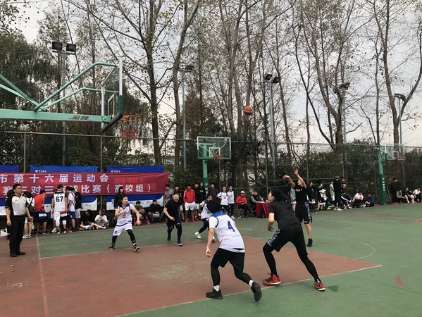 为什么篮球教练的经验对球员发展至关重要_0